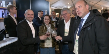 Gandesa es prepara per quatre dies intensos amb la 37a Festa del Vi