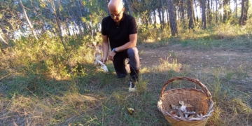 Els últims vents perjudiquen la temporada de bolets, que només es pot salvar si plou