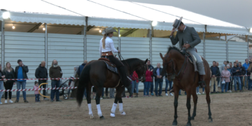 La pluja no impedeix celebrar la 192a edició de la Fira Agrícola, Ramadera i Industrial de Móra la Nova 