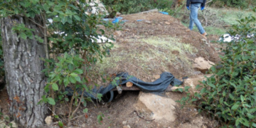 Detingut un home que amagava 370 quilos de marihuana en forats a terra a Corbera d’Ebre