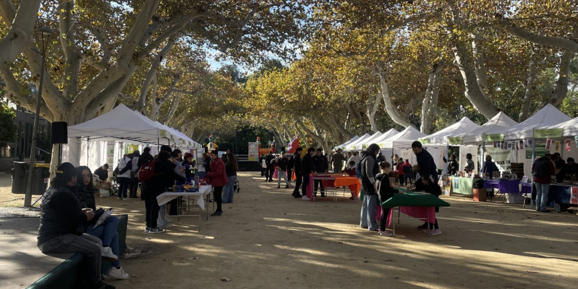 La Festa de les Entitats de Tortosa tanca una setmana d’activitats amb més de 30 associacions participants