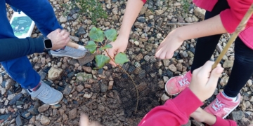 Il·lusió entre els infants de l’Aldea durant la plantada d’arbres a la Via Verda