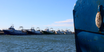 La pesca marítima cau a la meitat en una dècada