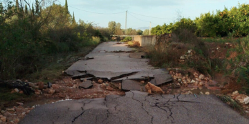 Les cooperatives confirmen pèrdues del 40% 