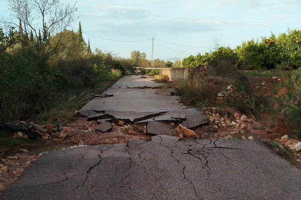 Les cooperatives confirmen pèrdues del 40% 