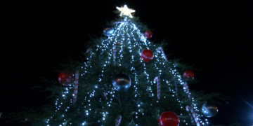 Entrega del 17è  Premi Sirga d’Or 2024 a Móra d’Ebre