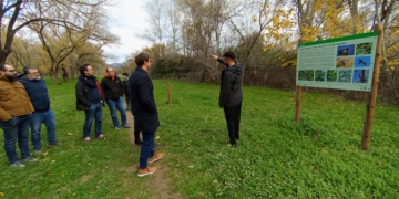 El Govern crida a renovar el consens polític i social contra la violència masclista 