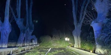 La caiguda d’un arbre per les fortes ràfegues de vent  provoca el tall de la  C-12 a Tortosa