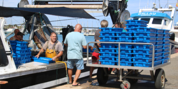 Les cooperatives confirmen pèrdues del 40% 