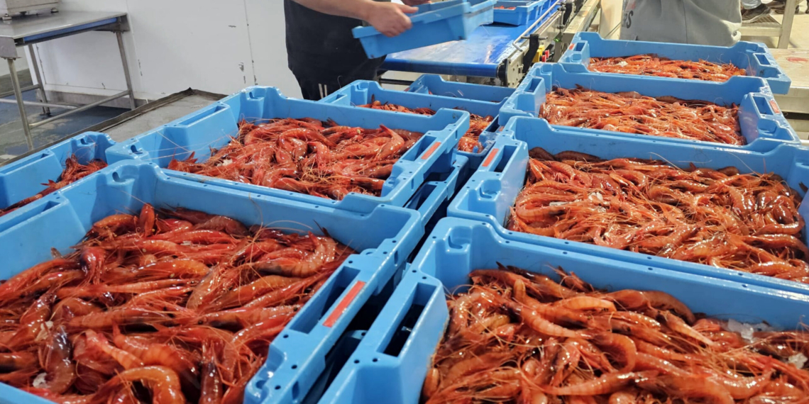 El govern espanyol confirma l’aturada de les dues MAT que travessaven Catalunya