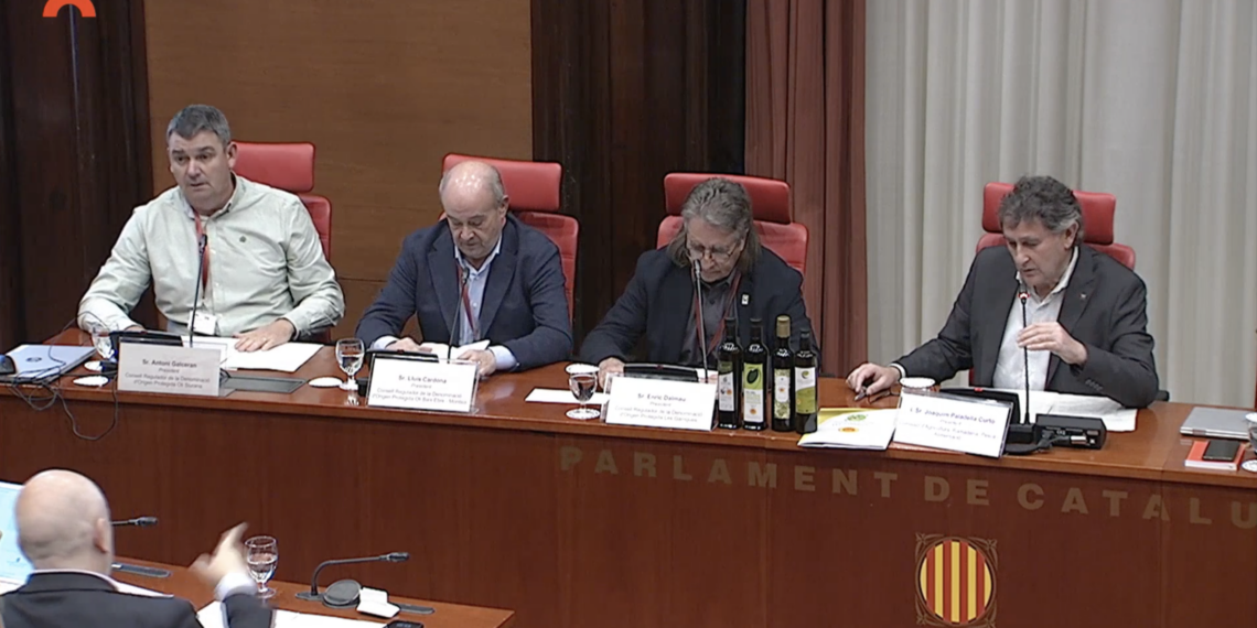 Els productors d’oli reclamen al Parlament modernitzar el regadiu per garantir el futur del sector