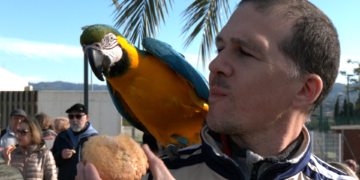 Roquetes i Jesús celebren la 33a edició de la Festa de Sant Antoni