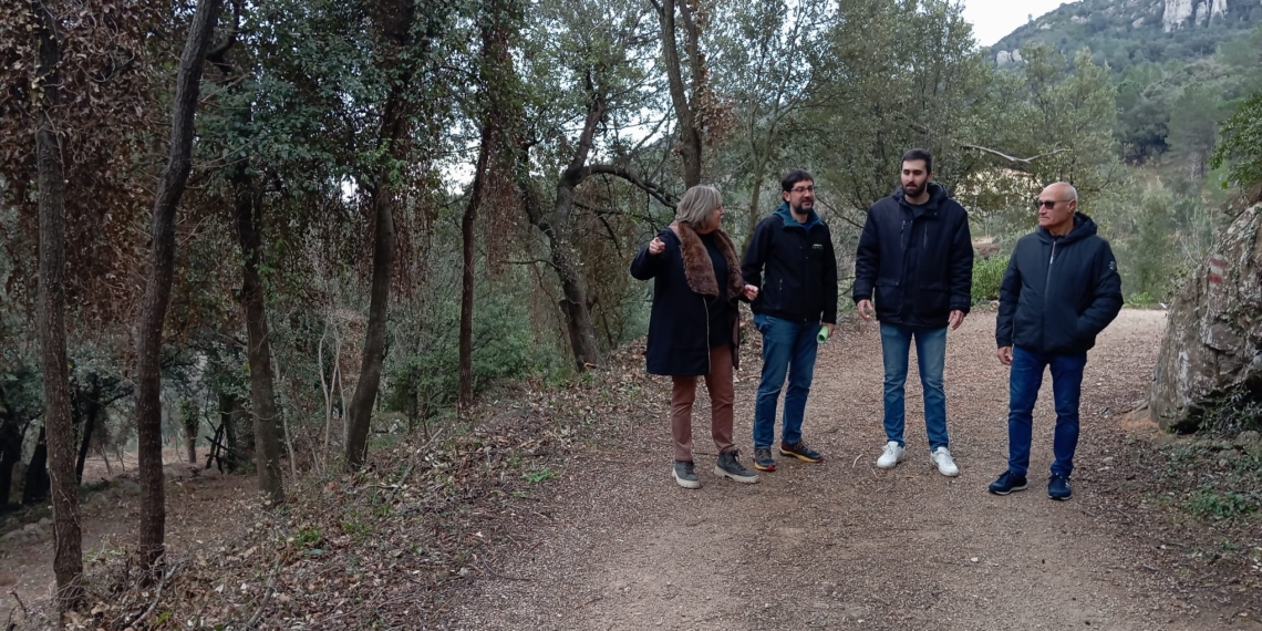 Netegen la massa forestal del Toscar als Ports per prevenir futurs incendis