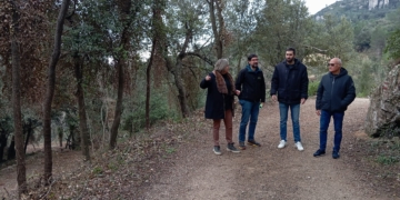 Netegen la massa forestal del Toscar als Ports per prevenir futurs incendis