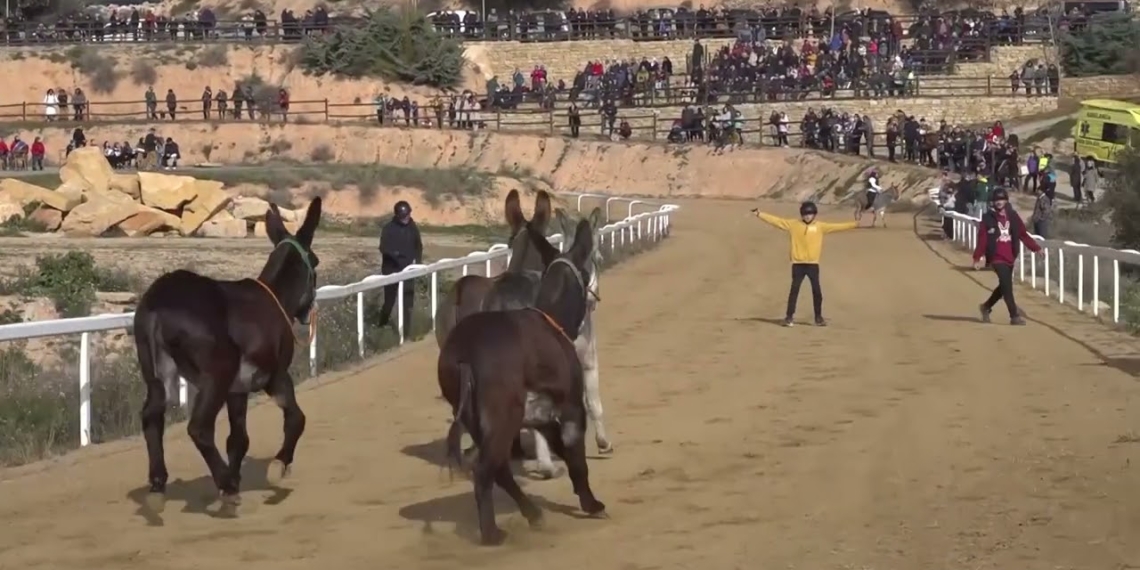 Corrides de la Festa de Sant Antoni d’Ascó