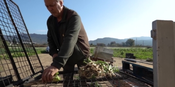La història de Josep Nogués, també conegut com el MacGyver de Vinebre