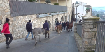 Celebració de Sant Antoni d’Ascó