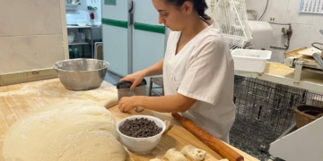 noticies terres de l'ebre