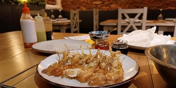 noticies terres de l'ebre