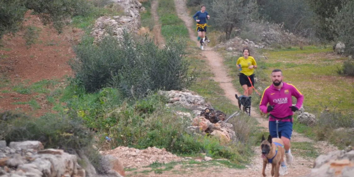 Esport, natura i diversió: arriba la primera edició de la Canicròs, Marxa, Cursa Express i Trailkids Mascarats a la Sénia