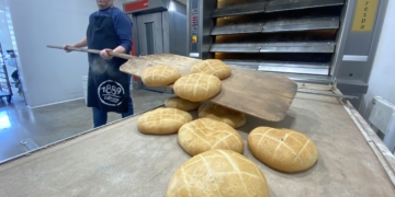 notícies terres de l'ebre