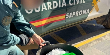 noticies terres de l'ebre