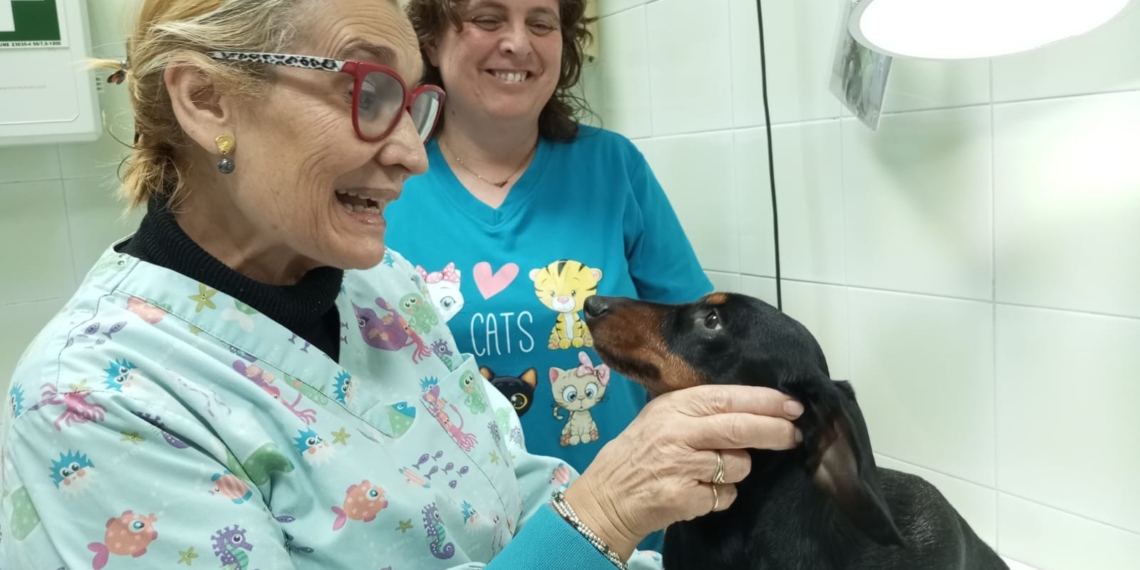 noticies terres de l'ebre