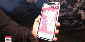 #C10Comarques Arranca la Ribera en flor amb més d’una vintena d’activitats