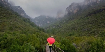 Notícies Terres de l'Ebre