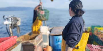 noticies delta de l'ebre