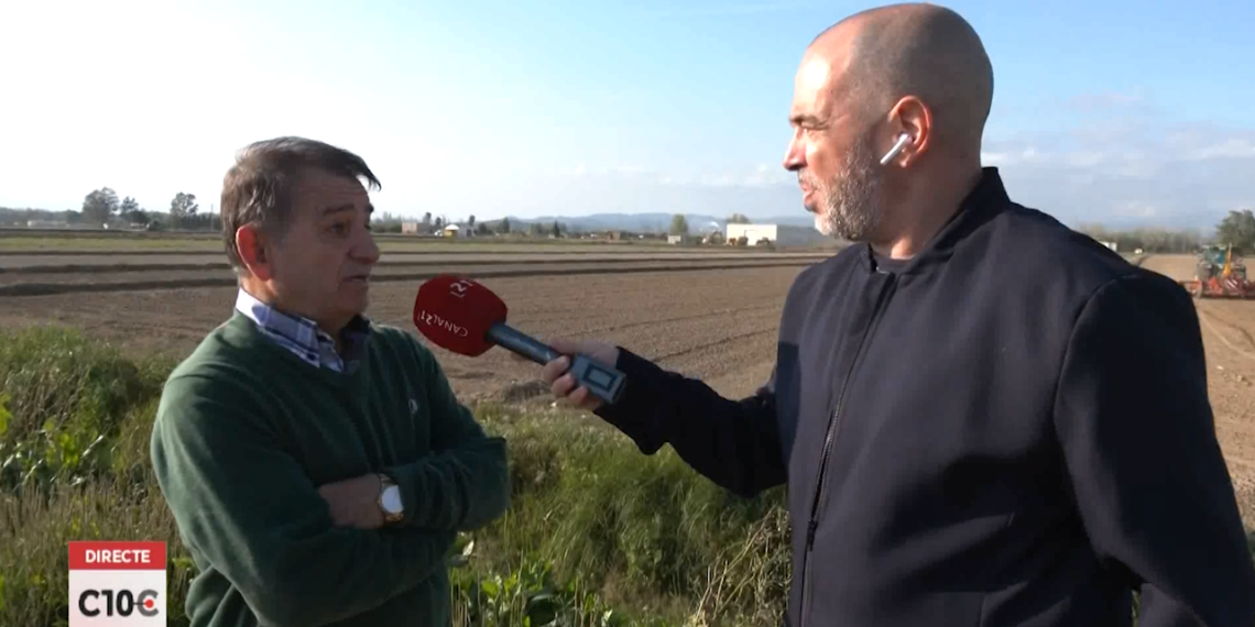 Així es preparen els arrossars per a la campanya de reg