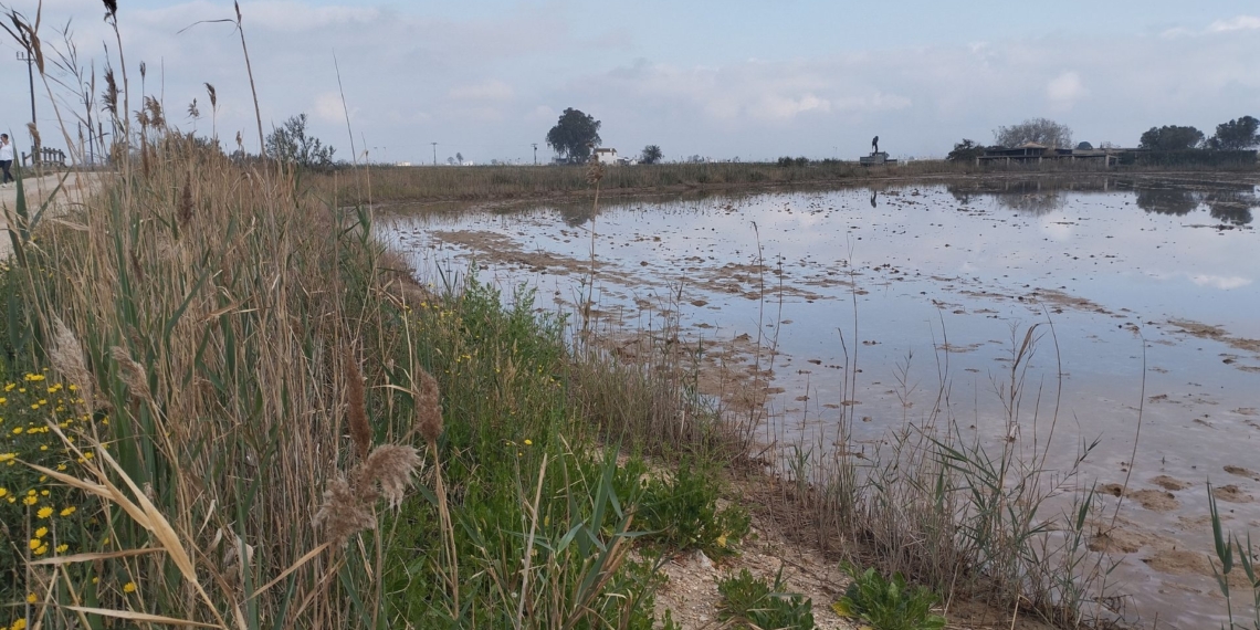 noticies terres de l'ebre