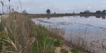 noticies terres de l'ebre