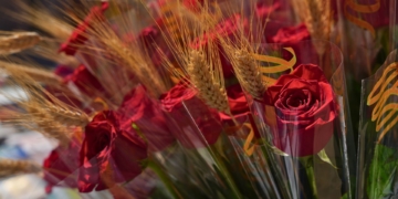 sant jordi ebre