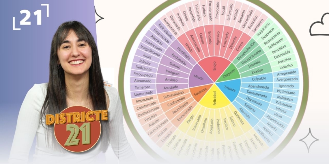 televisions catalanes