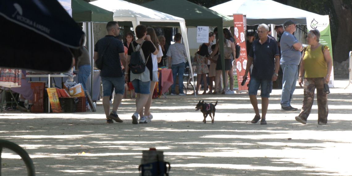 Les protectores fan una crida a l’adopció i cura dels animals des de Tortosa