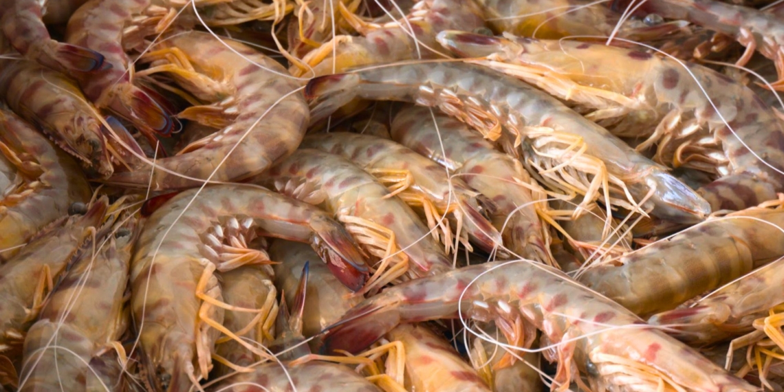 noticies terres de l'ebre