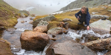 noticies terres de l'ebre