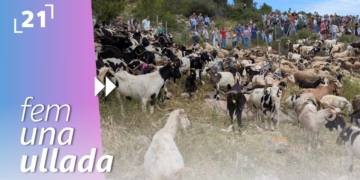 XXXVIII Fira Ramadera i d’Artesania de Rasquera