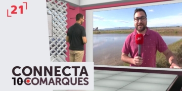 Comença la inundació dels arrossars del Delta de l’Ebre
