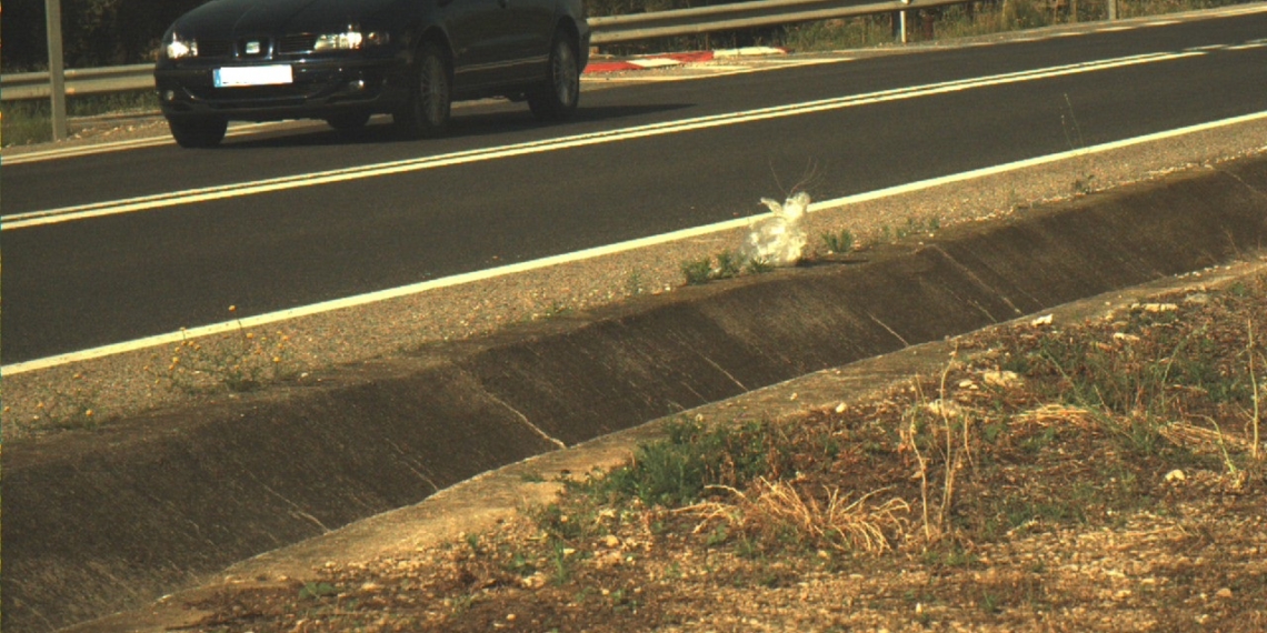 noticies terres de l'ebre