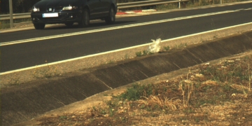 noticies terres de l'ebre