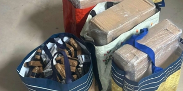 successos terres de l'ebre