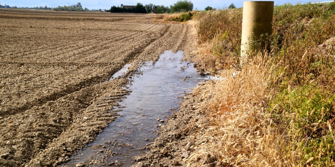 noticies terres de l'ebre
