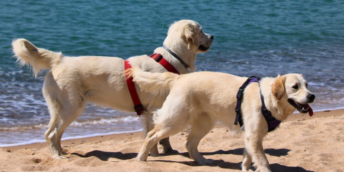 noticies terres de l'ebre