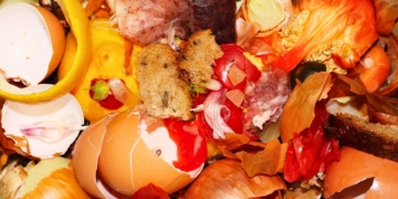 terres de l'ebre noticies