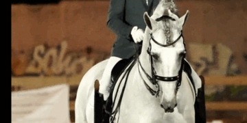 El genet aldeà Josep Paulino aconsegueix un títol històric amb una egua