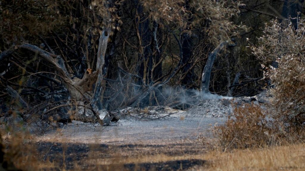 Ultima hora incendi pauls