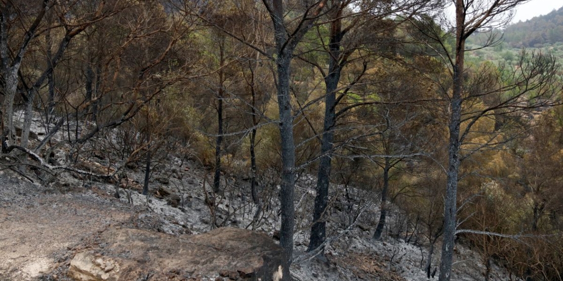 incendi ebre