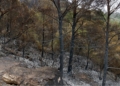 incendi ebre
